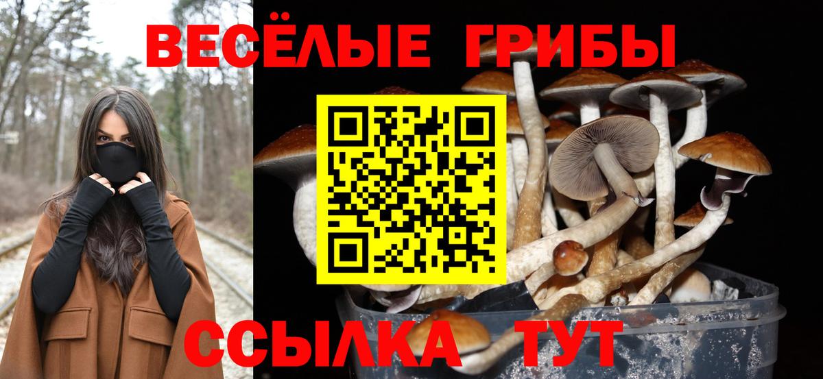 купить наркоту  Вход с VPN  Арзамас  Псилоцибиновые грибы ЛСД 